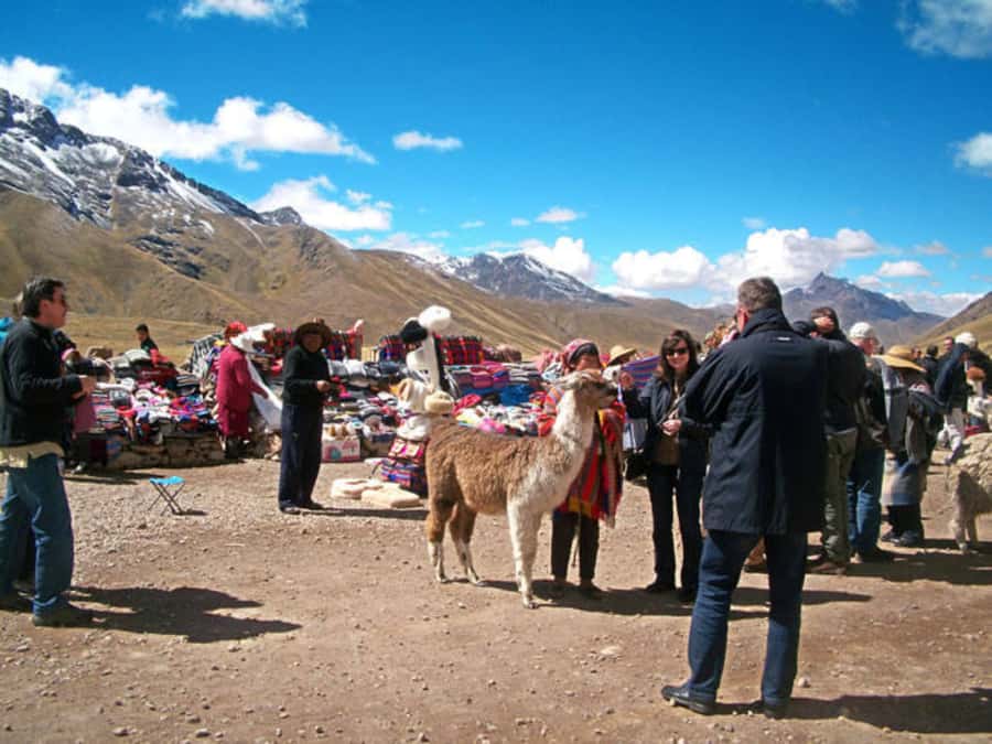 From Cusco: Puno and Uros Islands 2-Day Trip - FAQ