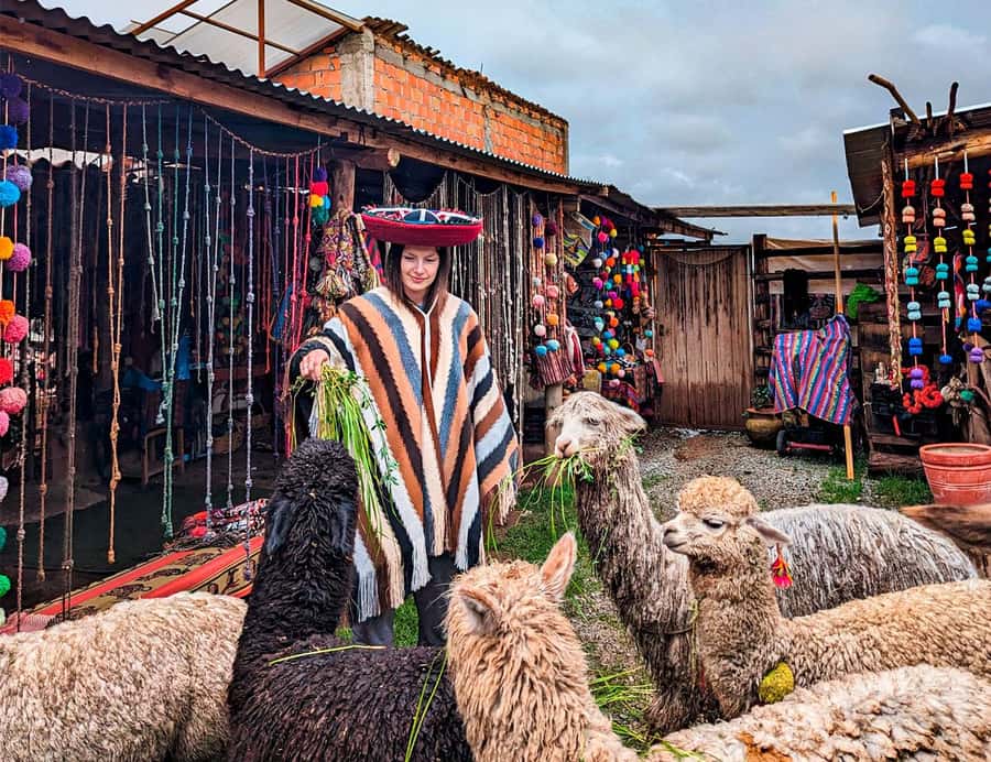 From Cusco: Sacred Valley & Moray, Salt Mines with Lunch - Key things to know before you go