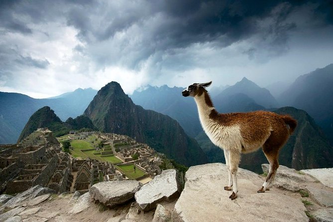 MachuPicchu Private Full Day Tour by Vistadome train from Cusco - Aguas Calientes bus ride: your first true look at Machu Picchu